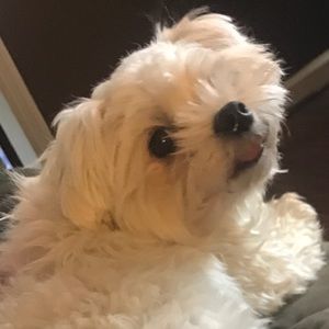 Meet your Posher, Valerie